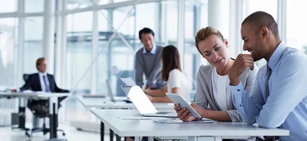 Adjusters, Surveyors and other professionals